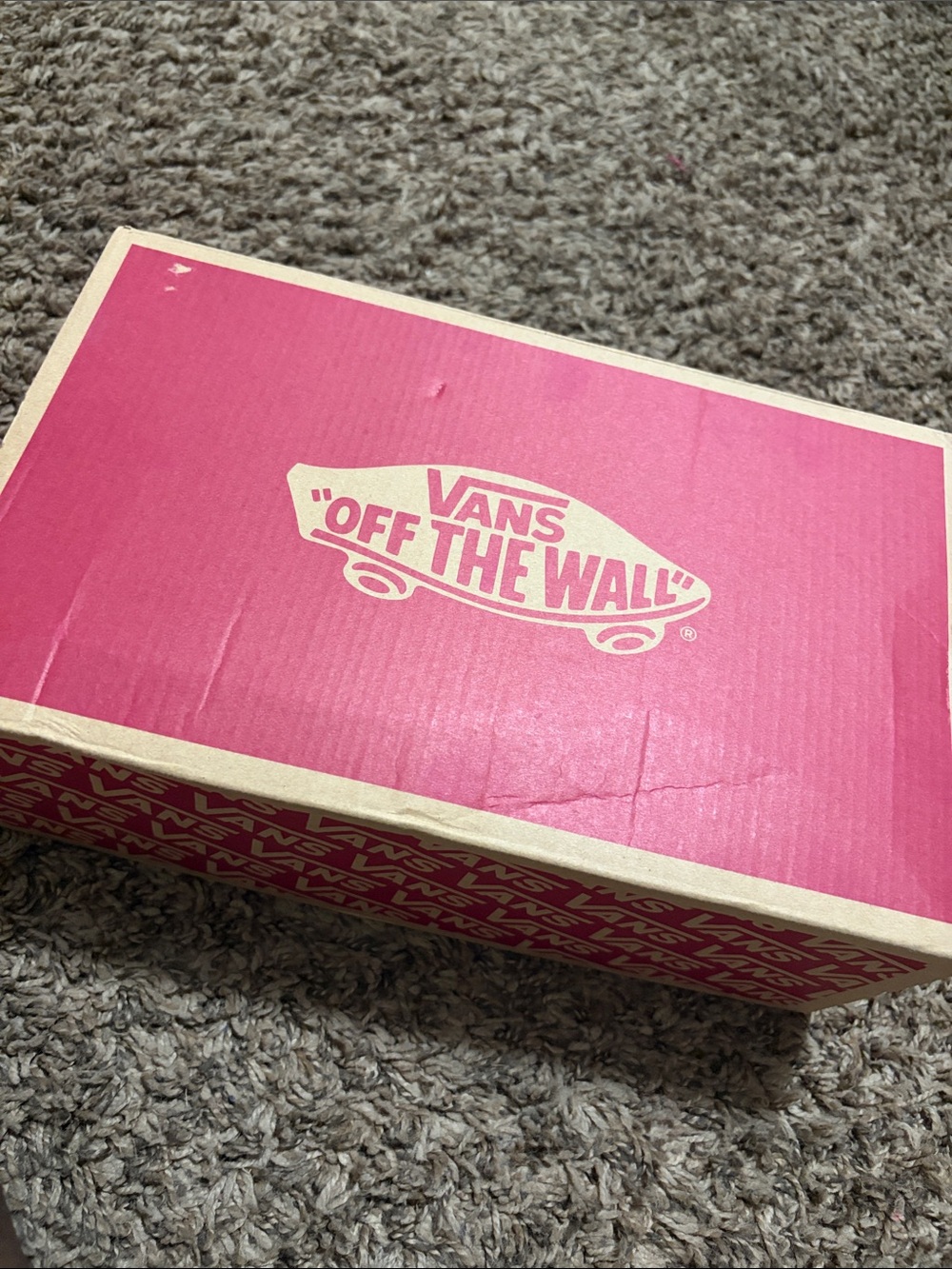 Vans Pink "Off The Wall" Skate Logo Wall Art